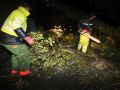 Operarios retiran restos de un árbol caído en una carretera de Palas de Rei