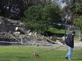 El Ayuntamiento de A Coruña tala siete árboles en Santa Margarita pero plantará seis veces más en su lugar Árboles talados en el parque de Santa Margarita