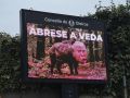 Carteles instalados en Oleiros con la cara de Trump