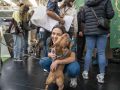 Feria de los animales de compañía 'Pata Pata' Edición pasada de Pata Pata, en ExpoCoruña