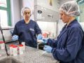 ADos técnicas trabajan en un laboratorio en Argentina, que envió a países de África y Europa, entre ellos España, material para la detección del virus