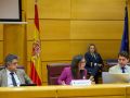 Inés Rey, esta tarde, en el Senado