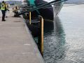 Defensas instaladas en el muelle de Trasatlánticos