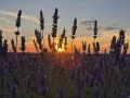 Puesta de sol en Brihuega el pasado 14 de julio