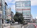 Hace 25 años | El metrosidero plantado junto al Obelisco será el árbol de la ciudad