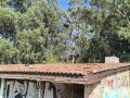 Alternativa dos Veciños alerta el abandono de San Cosme Alternativa de Culleredo alerta del abandono de la capilla de San Cosme