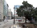 La cuenta atrás para que el Metrosidero abandone su ubicación actual