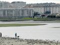 Los mariscadores volverán a ser una imagen habitual en la ría