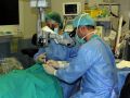 Expertos del Chuac utilizan un análisis de sangre que podría evitar el 80% de las biopsias en los trasplantes cardíacos Dos sanitarios preparan a un paciente en el quirófano para un trasplante