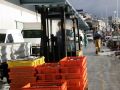 Actividad en la lonja de A Coruña