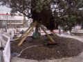 En primer plano, uno de los huecos practicados en la tierra