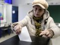 Elecciones en Portugal