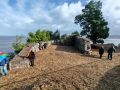Corbeiroa, de ruina casi invisible a símbolo de los vecinos de Sada Los vecinos pudieron recorrer el espacio entre las estructuras existentes de la antigua Batería de Defensa de Corbeiroa