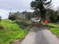 Joseph deja un rosario de incidencias en Betanzos La caída de árboles obligó a cortar algunas vías en el rural