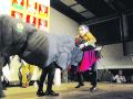 Gelo disfrazado de toro en 2014