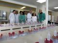 El conselleiro de Sanidade, Antonio Gómez Caamaño (primero por la derecha), en la visita al laboratorio del Chuac