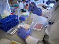 Investigación científica