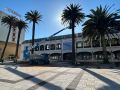 Día de poda para las palmeras de Méndez Núñez Poda de las palmeras de Méndez Núñez