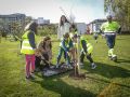 Un ejército de pequeños jardineros planta un nuevo 'bosque' en el parque de San Diego Inés Rey planta árboles con los niños del Sal Lence