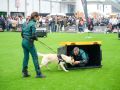 Pata Pata lleva a A Coruña el trabajo de los perros policía de la Guardia Civil PATA PATA 2
