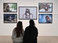 Dos personas observan las imágenes de la exposición