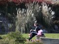 Dos personas disfrutan del sol en el parque Adolfo Suárez, invadido por plumachosHierba de la pampa