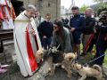 Misa y bendición de perros en las fiestas de San Outelo, Celas de Peiro