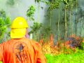 Uno de los incendios de hace 25 años