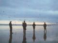 echoandthebunnymen