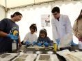 Día de la Ciencia en la Calle
