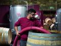 Iván Olmedo, enólogo de Finca Míllara, trabaja en la bodega