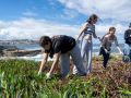 Varias alumnas retiraban esta mañana la uña de gato