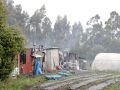 Caballos Sada incendio