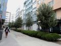 Una transeúnte recorre la pequeña calle San Leopoldo (peatonalizada en 2022), en el Agra do Orzán, uno de los barrios de la ciudad con más necesidad de zonas verdes