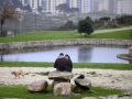 Hace 25 años | La inauguración del parque de Bens salda el desastre ecológico de 1996 Uno de los estanques del parque de Bens, en una imagen de 2016