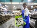 Una placera muestra sus sardinas en la plaza de Lugo