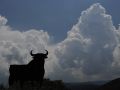 Vista del toro de Osborne, situado en lo alto de una montaña de Becerreá, Lugo