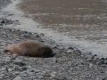 Cholo Ramón en su aventura en Svalbard_ día 1