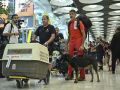 Bomberos españoles vuelven de Venezuela: "El país se queda destrozado" Bomberos del consorcio provincial de Málaga y sus perros llegan al aeropuerto de Madrid-Barajas tras trabajar en labores de rescate en las zonas devastada por los terremotos en Venezuela.