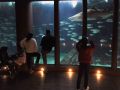 Primero en cámaras de fotos analógicas, luego en digitales, pero muchos inmortalizaron el nado de Gastón en la sala Nautilus
