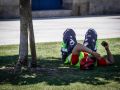 Un hombre se resguarda del sol bajo un árbol en La Marina