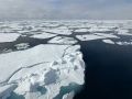 Hielo en el Ártico