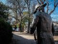 Los olmos del jardín de San Carlos disfrutan de su último verano La estatua del brigadier Francisco de Mazarredo contempla el visible deterioro de los últimos seis olmos que llevan en los jardines de San Carlos desde hace más de un siglo