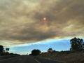 Incendio forestal que afecta a Niebla, en Huelva, que provoca una intensa columna de humo sobre las carreteras de la zona