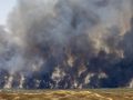 Vista del incendio forestal en Niebla