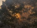 Incendio en Baltar