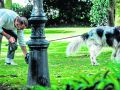 Una persona recoge el excremento de su mascota en los jardines de Méndez Núñez
