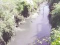 El río de Mesoiro a su paso por A Coruña en 2001
