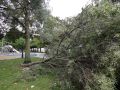 A Coruña fue uno de los ayuntamientos en los que más alertas a Emergencias se sumaron durante el temporal Viandantes sorteando el viento y árboles caídos han sido las escenas más comunes este martes en la ciudad