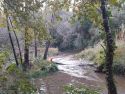 Tareas de limpieza en el cauce del río Mero a su paso por Cambre